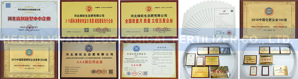  Chinese compound fertilizer manufacturers 