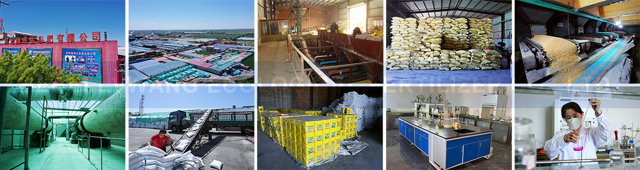  Chinese ammonium sulfate manufacturers 