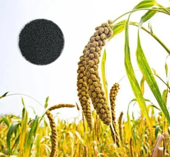 China NPK Manufacturer Low Price / Corn Customized NPK Manufacturer