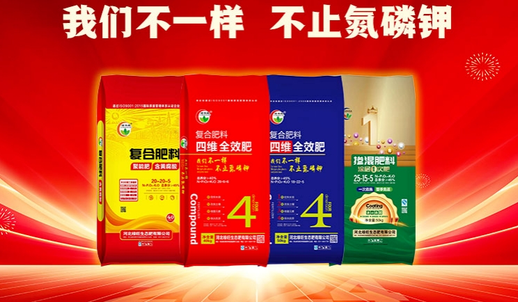 微信截图_20241004180956