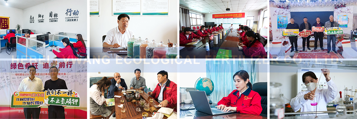  Chinese NPK fertilizer manufacturers 